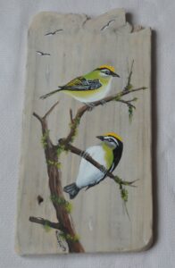 Bois flotté peint avec oiseau